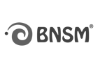 bnsm_Logo